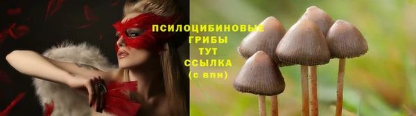 PSILOCYBIN Балабаново